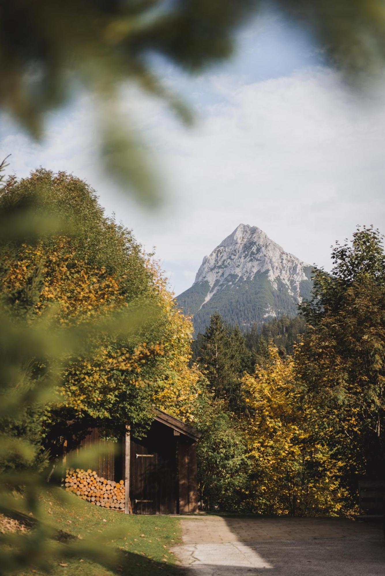Ferienwohnung Waldgarten Leiten Buitenkant foto